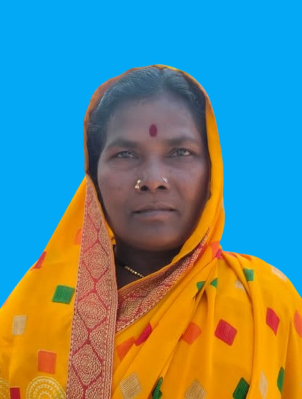 सदस्य