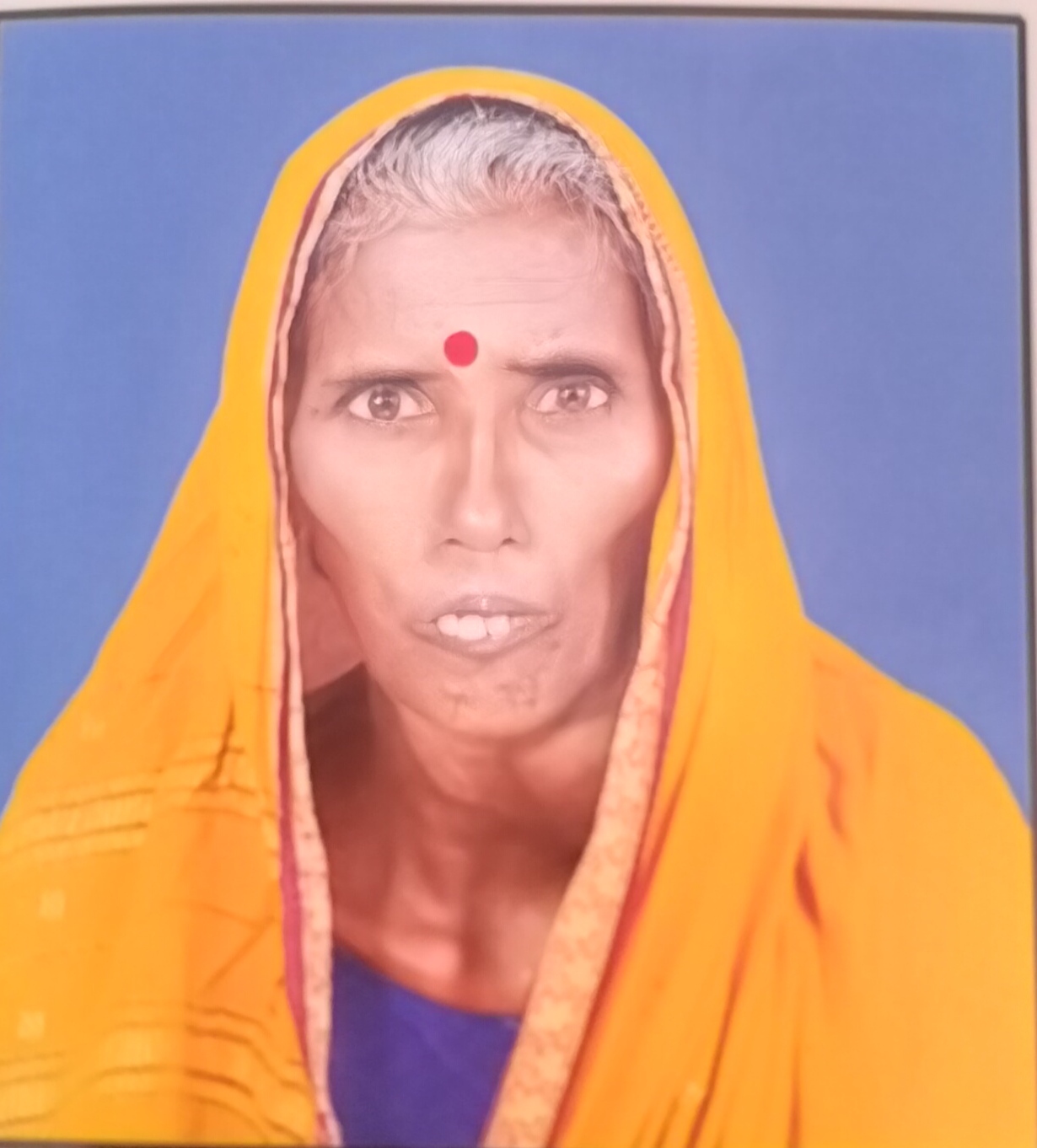 सदस्य